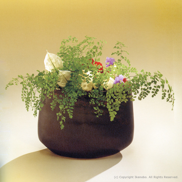 池坊花道三種樣式| IKENOBO ORIGIN OF IKEBANA